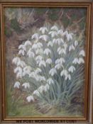 Wendy Sinclair oil on board of snowdrops (32 x 23cms)