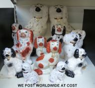 Thirteen Staffordshire and similar dogs