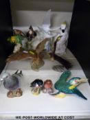 A collection of various porcelain birds to include Beswick bullfinch, kingfisher,