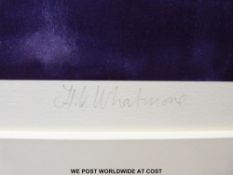 A Neil Whatmore signed limited edition print (100/195) 'Sister Sway'