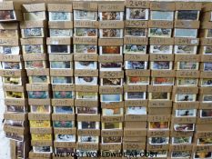 Approximately 107,000 postcards, contained in 107 boxes,