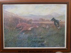 A signed limited edition W Hobson print of lurchers 'Surprised' (44cm x 65cm)