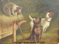 An oil on copper depicting two dogs a cat with a rat in its mouth in farmyard setting (7.