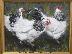 Beverley Madley (Modern British): Acrylic on canvas of Light Sussex chickens (36cm x 45cm)
