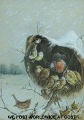 A watercolour of a wren, blue tits, gold finches and bull finches sheltering from the snow,