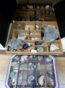 A quantity of geological samples, fossils etc to include agate, fools gold,