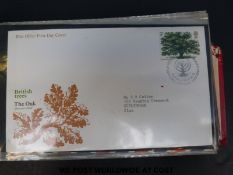 A Davo South Africa album and contents,