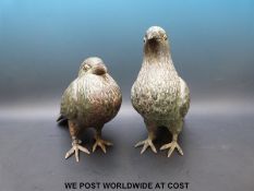 A pair of bronze or brass life size pigeons