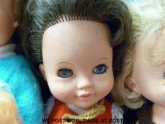 Fourteen 1960s dolls to include Pedigree,