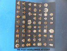 A board of WWI Army cap badges comprising 64 badges in total,