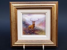 A c1926 Royal Worcester framed and mounted plaque of a Highland stag, unsigned, probably Stinton (6.