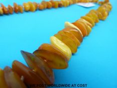 An amber necklace consisting of over 100 irregular shaped beads,