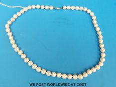 A single strand pearl necklace with 14ct gold clasp