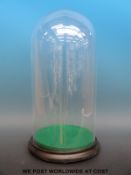 A glass dome on turned base, approximately 49cm tall, 26.