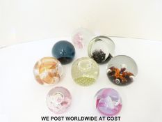 Eight Caithness glass paperweights with various designs,