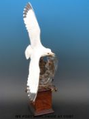 Albany Fine China Company figure of a Kittiwake certificated 106/500 (57cm tall)