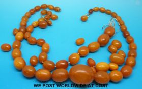 A graduated amber necklace together with a quantity of loose beads (enough to make another