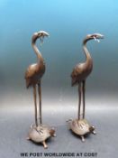 A pair of Chinese bronze storks with snake in beak and standing on a turtle, height 16.