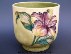 A Moorcroft jardiniere in Hibiscus pattern on a yellow ground (5