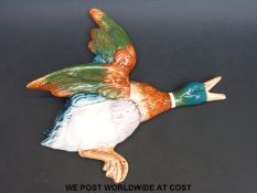 A Beswick duck wall plaque 596-0 (largest example in set)