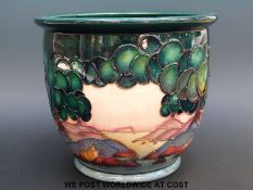 A large Moorcroft planter in Mamoura pattern by Sally Tuffin (16.
