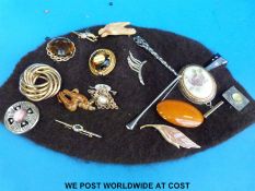 Eighteen brooches to include a hunting horn, hummingbird, pewter, amber set etc.