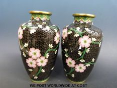 A pair of Chinese cloisonne vases decorated with pink cherry blossom and butterflies over a black