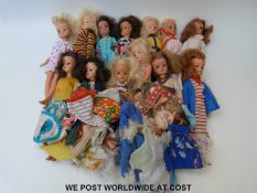 A collection of Sindy dolls and outfits.