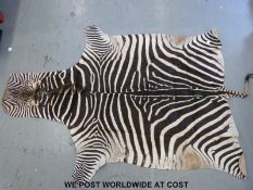 A taxidermy zebra skin (length 2.