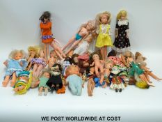 Four Sindy dolls together with over 20 Barbie and similar dolls