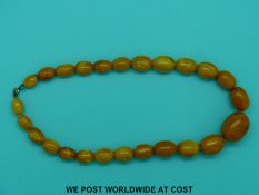 An amber necklace of 25 graduated butterscotch coloured beads, the largest 11x25mm, 42cm long, 40g.