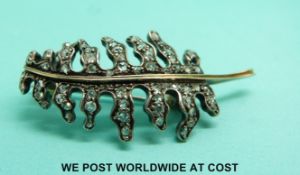 A Victorian brooch set with diamonds in a feather shape