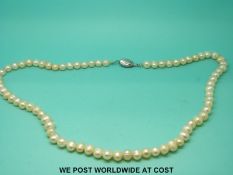 A single strand necklace of cultured pearls with silver clasp