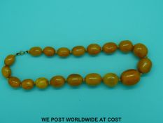 An amber necklace of 19 graduated butterscotch coloured beads, the largest 33x25mm, 50cm long, 94g.