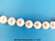 A single strand pearl necklace with 14ct gold clasp