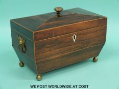 A 19thC rosewood two division tea caddy raised on brass ball feet (W22xD12.5xH15.