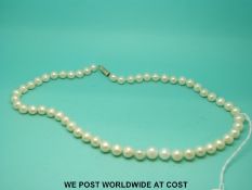 A single string of pearls with 14ct gold clasp