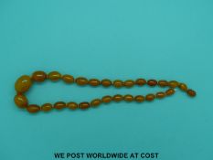An amber necklace of 29 graduated butterscotch coloured beads, the largest 11x25mm, 46cm long, 31g.
