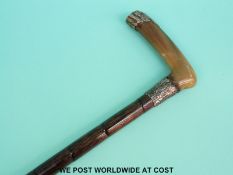 A white metal mounted horn and cane stick.