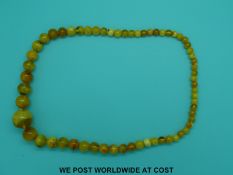 An amber necklace of 62 graduated spherical beads, the largest 26mm in diameter, 70cm long, 76g.