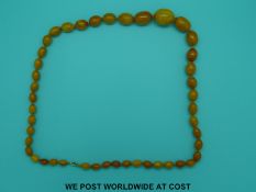 An amber necklace of 45 butterscotch coloured graduated beads, the largest 30x25mm, 80cm long, 68g.