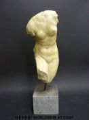 A plaster torso on a square base (height 49cm)