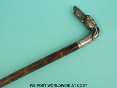 An Edwardian hallmarked silver dogs head walking cane, Birmingham 1908 maker, F Narborough,