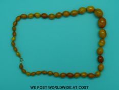 An amber necklace of 39 graduated butterscotch coloured beads, the largest 21x6.5mm, 55cm long, 34g.