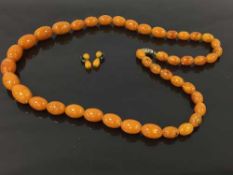 A large graduated amber necklace of forty-three beads, length 100 cm, 179.