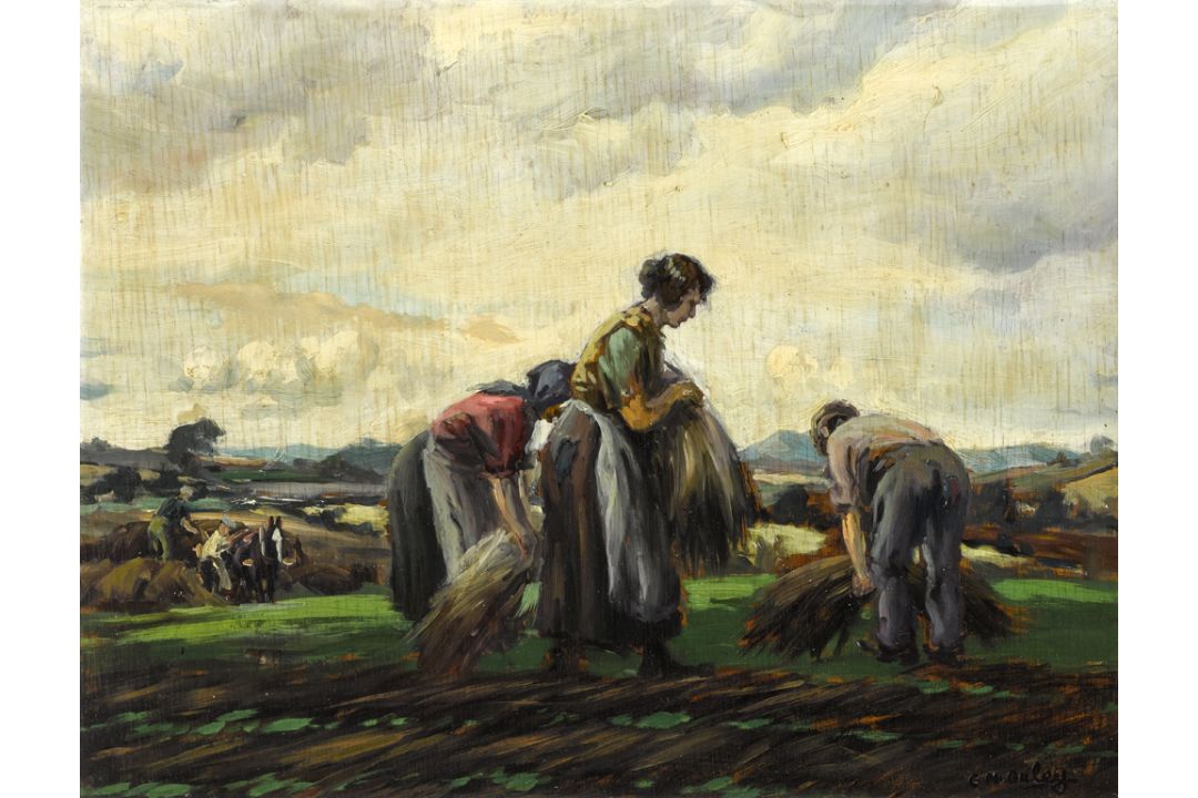 Charles J. McAuley (1910-1999) THE FLAX GATHERERS oil on board signed lower right 16 x 20½in. (40.64 - Image 1 of 2