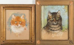 * Alice des Clayes [1890-1968]- Study of a tabby cat:- pastel, 28.5 x 22.
