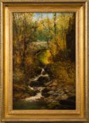 William Widgery [1822-1893]- Tumbling stream Autumn,