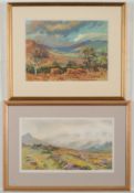 Phoebe des Clayes [19/20th Century]- Cattle grazing in downland:- signed, bodycolour, 19.