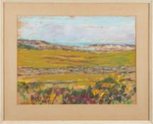 Attributed to Alice des Clayes [1890-1968]- Ponies on Dartmoor:- pastel, 29.